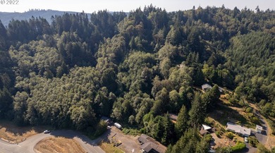 3.37 +/- ACRES OF RURAL OREGON PARADISE! Use this as the Canvas - photo 3