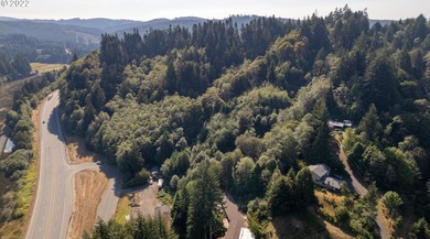 3.37 +/- ACRES OF RURAL OREGON PARADISE! Use this as the Canvas - photo 5