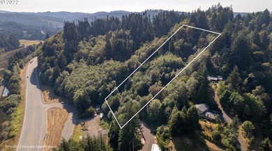 3.37 +/- ACRES OF RURAL OREGON PARADISE! Use this as the Canvas - photo 6