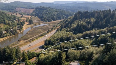 3.37 +/- ACRES OF RURAL OREGON PARADISE! Use this as the Canvas - photo 8