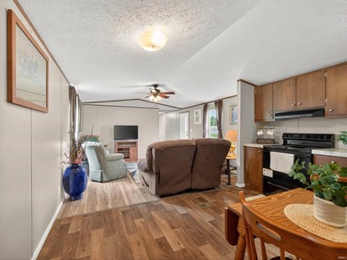 Move right in and start enjoying summer at Dewart Lake! Sold - photo 8