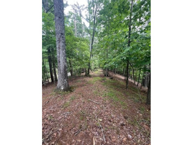 (private lake, pond, creek) Lot For Sale in Mineral Bluff Georgia