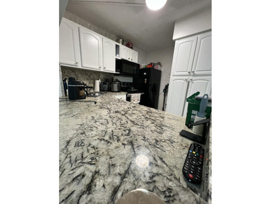 Remarks:Amazing must see!!Totally renovated !! Updated Kitchen - photo 12