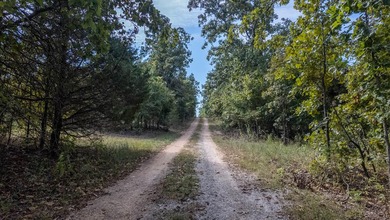 2,500+/- Acres with 11 Point River Frontage - Missouri Ozarks - photo 13