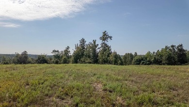 2,500+/- Acres with 11 Point River Frontage - Missouri Ozarks - photo 15