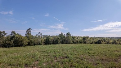 2,500+/- Acres with 11 Point River Frontage - Missouri Ozarks - photo 16