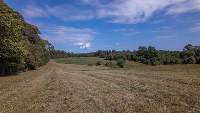 2,500+/- Acres with 11 Point River Frontage - Missouri Ozarks - photo 22