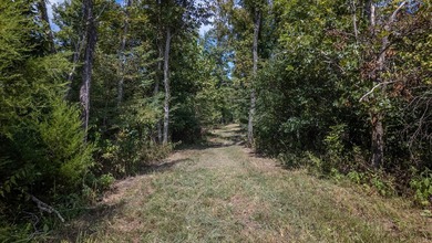 2,500+/- Acres with 11 Point River Frontage - Missouri Ozarks - photo 23