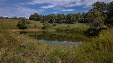 2,500+/- Acres with 11 Point River Frontage - Missouri Ozarks - photo 24