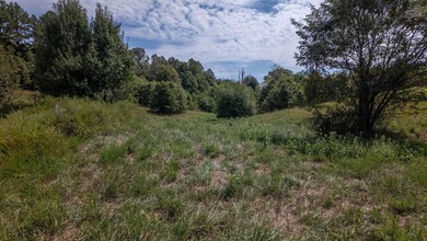 2,500+/- Acres with 11 Point River Frontage - Missouri Ozarks - photo 25