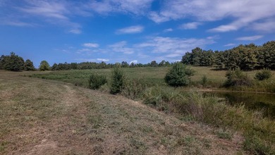 2,500+/- Acres with 11 Point River Frontage - Missouri Ozarks - photo 26