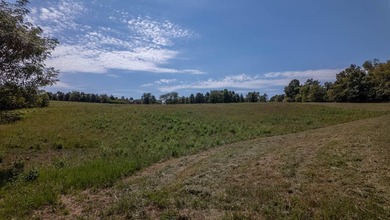 2,500+/- Acres with 11 Point River Frontage - Missouri Ozarks - photo 27