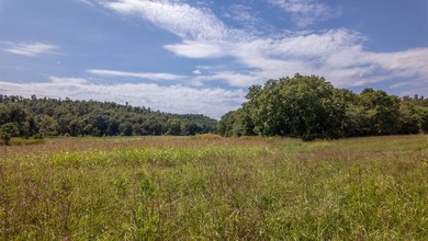 2,500+/- Acres with 11 Point River Frontage - Missouri Ozarks - photo 29