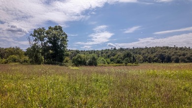 2,500+/- Acres with 11 Point River Frontage - Missouri Ozarks - photo 30