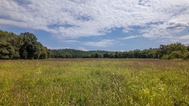 2,500+/- Acres with 11 Point River Frontage - Missouri Ozarks - photo 31