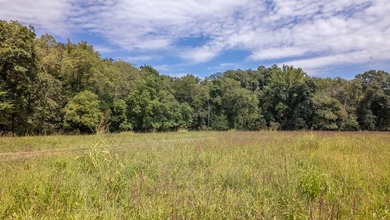 2,500+/- Acres with 11 Point River Frontage - Missouri Ozarks - photo 32