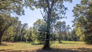 2,500+/- Acres with 11 Point River Frontage - Missouri Ozarks - photo 38