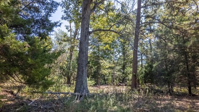 2,500+/- Acres with 11 Point River Frontage - Missouri Ozarks - photo 39
