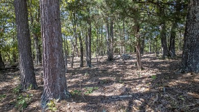 2,500+/- Acres with 11 Point River Frontage - Missouri Ozarks - photo 41