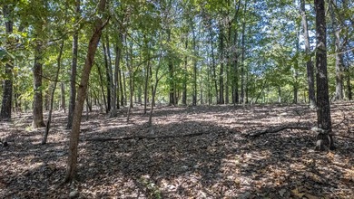 2,500+/- Acres with 11 Point River Frontage - Missouri Ozarks - photo 42