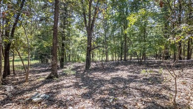 2,500+/- Acres with 11 Point River Frontage - Missouri Ozarks - photo 43