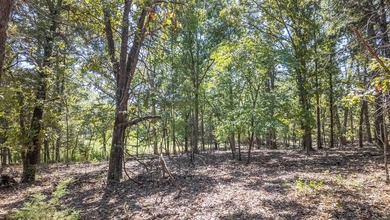 2,500+/- Acres with 11 Point River Frontage - Missouri Ozarks - photo 44