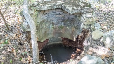 2,500+/- Acres with 11 Point River Frontage - Missouri Ozarks - photo 45