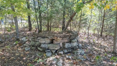 2,500+/- Acres with 11 Point River Frontage - Missouri Ozarks - photo 46