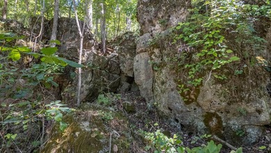 2,500+/- Acres with 11 Point River Frontage - Missouri Ozarks - photo 47