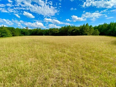 This diverse riverfront property is a rare find. Located between - photo 7