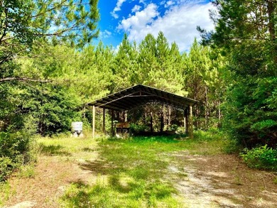 This diverse riverfront property is a rare find. Located between - photo 9