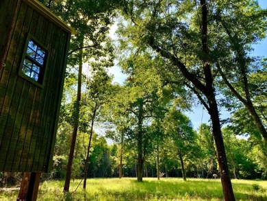 This diverse riverfront property is a rare find. Located between - photo 10