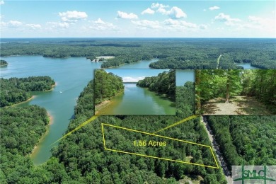 Lake Lot For Sale in Elberton, Georgia