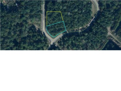 Lands Lake Lot For Sale in Wewahitchka Florida