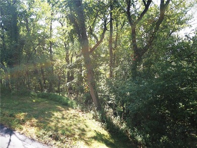 Allegheny River Lot For Sale in O'Hara Pennsylvania