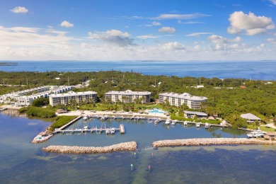 Lake Condo For Sale in Plantation Key, Florida