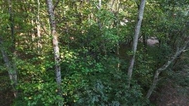 (private lake, pond, creek) Acreage For Sale in Georgetown Tennessee