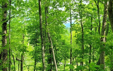 Lake Chatuge Lot For Sale in Hayesville North Carolina