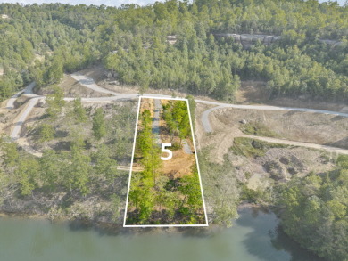 Sleepy Hollow Phase II Wood Creek Lake - photo 1