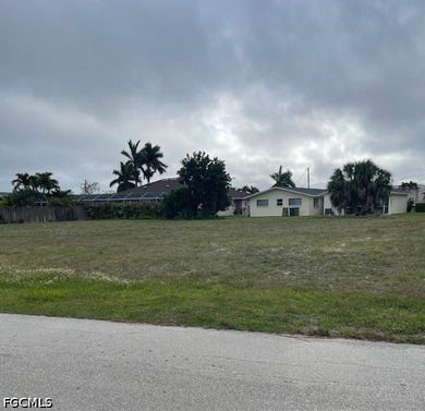 Rare oversized 4-lot parcel in desirable SE Cape Coral offering - photo 3