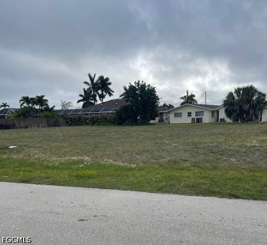 Rare oversized 4-lot parcel in desirable SE Cape Coral offering - photo 5
