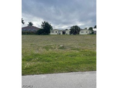 Rare oversized 4-lot parcel in desirable SE Cape Coral offering - photo 6