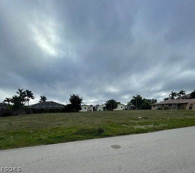 Rare oversized 4-lot parcel in desirable SE Cape Coral offering - photo 8
