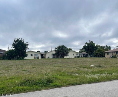 Rare oversized 4-lot parcel in desirable SE Cape Coral offering - photo 9