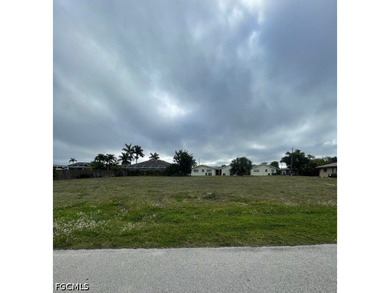 Rare oversized 4-lot parcel in desirable SE Cape Coral offering - photo 10