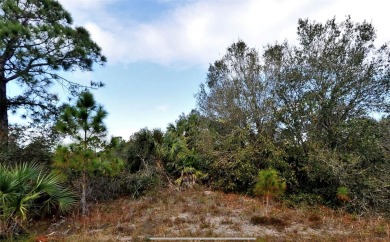 Northport Waterway Lakes and Canals Lot For Sale in North Port Florida