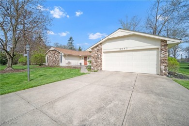 Lake Home ActiveUnderContr in Aurora, Ohio
