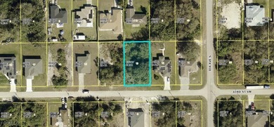 Lehigh Acres Area Lot For Sale in Lehigh Acres Florida
