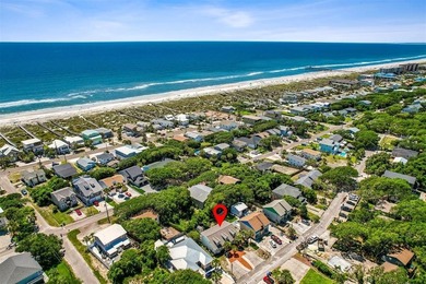 Just a quick jaunt to the stunning beaches of Amelia Island - photo 3