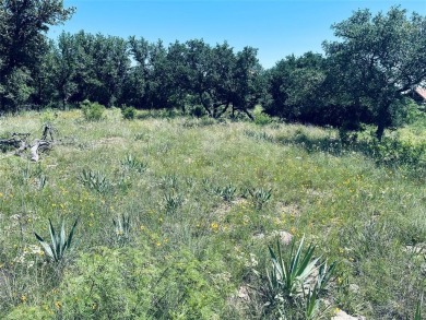 Lake Brownwood Lot For Sale in Brownwood Texas